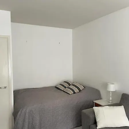 Toimiva Yksioe - Kasakkamaeki Apartment *